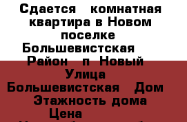 Сдается 3-комнатная квартира в Новом поселке, Большевистская 53 › Район ­ п. Новый › Улица ­ Большевистская › Дом ­ 53 › Этажность дома ­ 3 › Цена ­ 27 000 - Новосибирская обл., Бердск г. Недвижимость » Квартиры аренда   . Новосибирская обл.